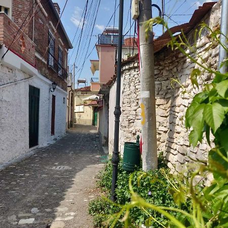 Private Apartment Elbasan Historic Center Buitenkant foto