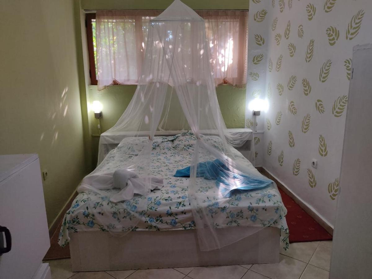 Private Apartment Elbasan Historic Center Buitenkant foto