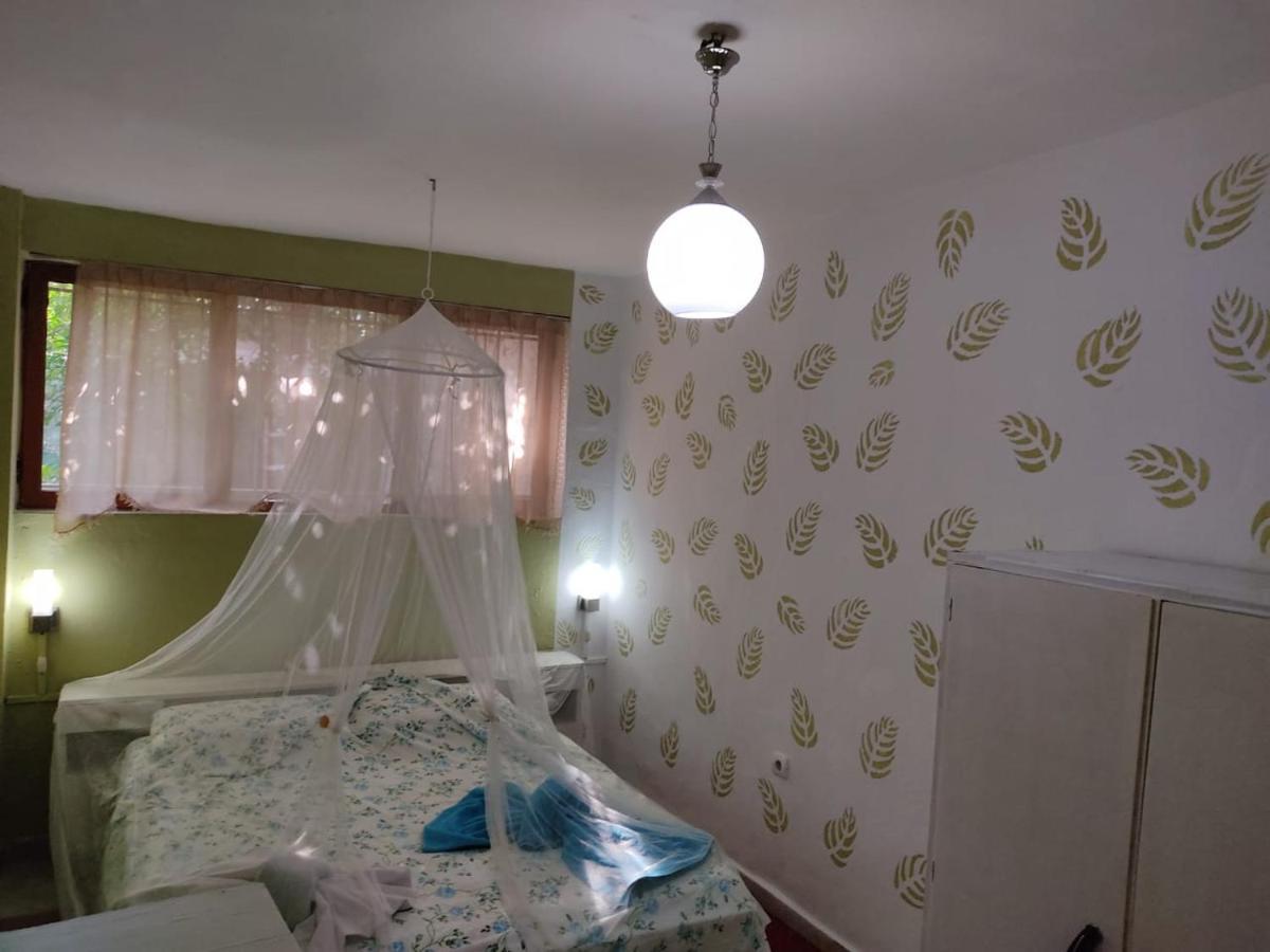 Private Apartment Elbasan Historic Center Buitenkant foto