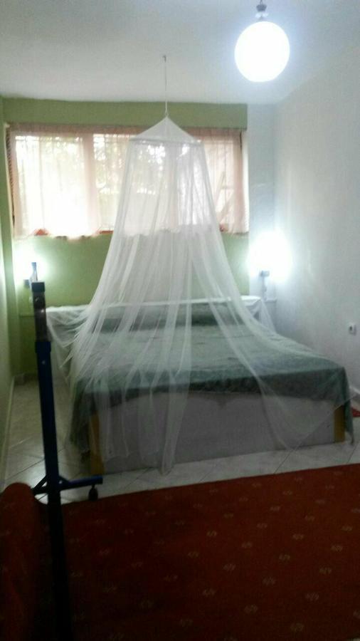 Private Apartment Elbasan Historic Center Buitenkant foto