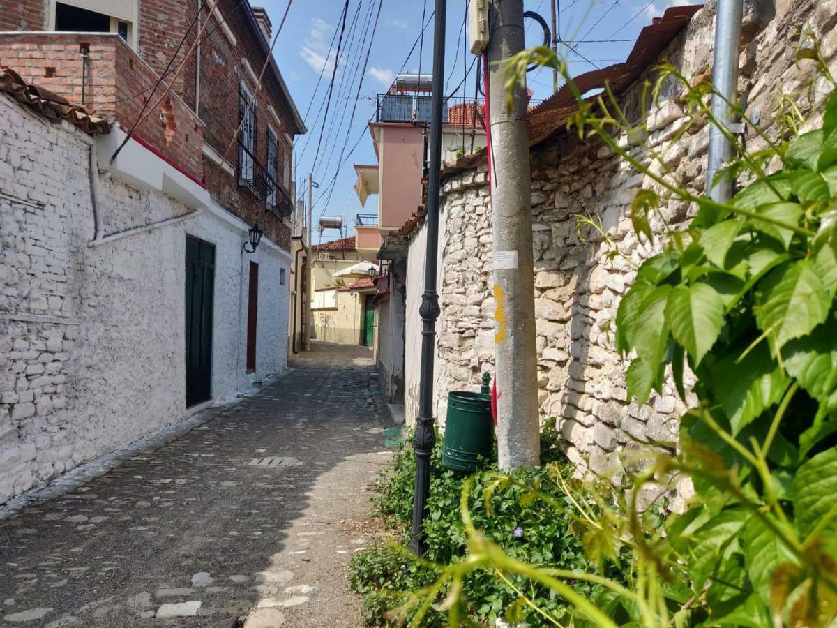 Private Apartment Elbasan Historic Center Buitenkant foto