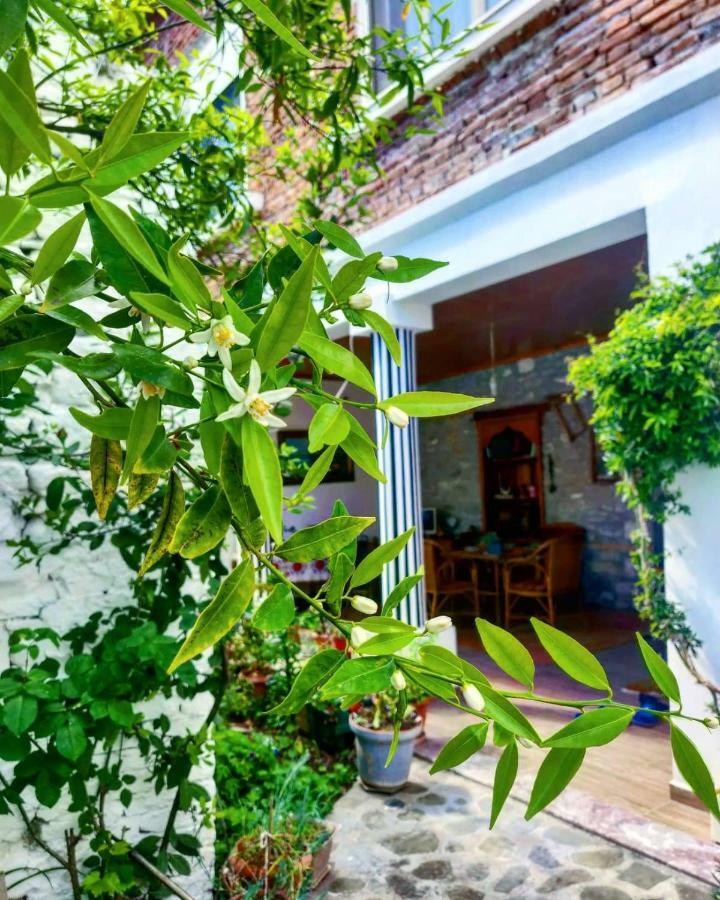 Private Apartment Elbasan Historic Center Buitenkant foto